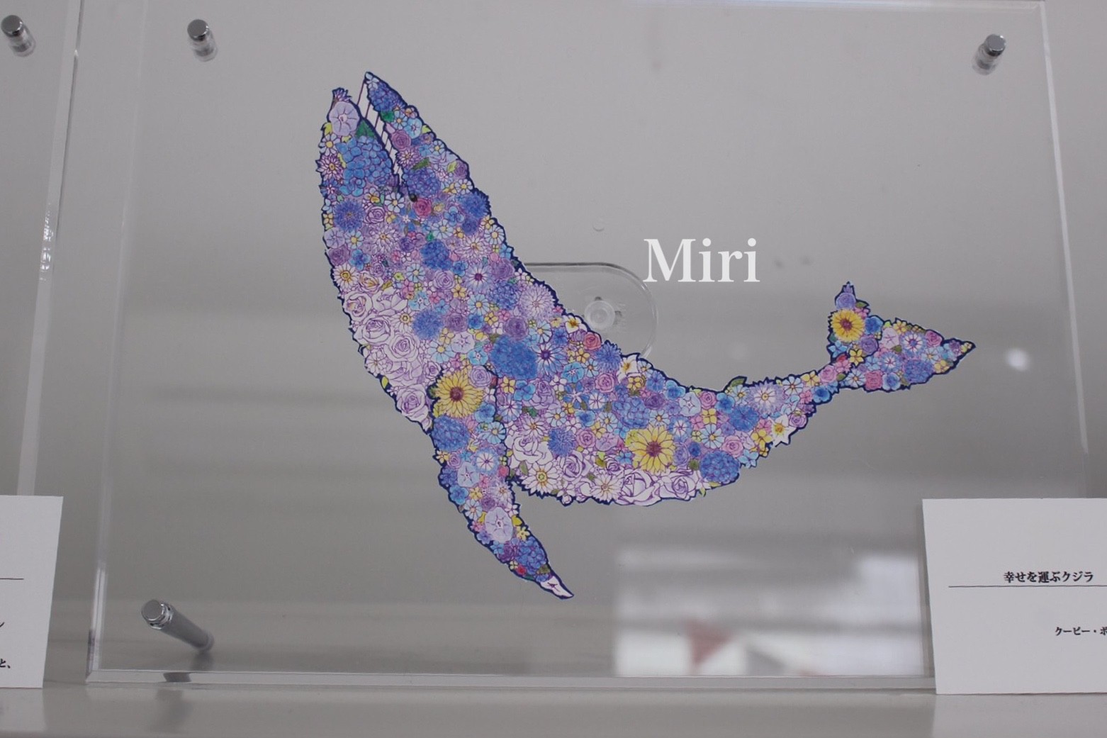 2025 お歳暮【公式】 - 人気ブランド 幸せを運ぶクジラ GENSEKI - 絵画