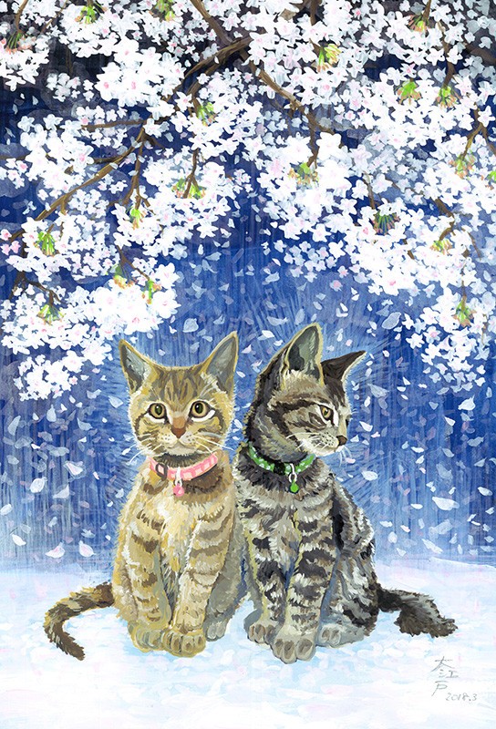 桜と猫たち - GENSEKI